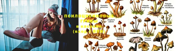 МДМА Володарск