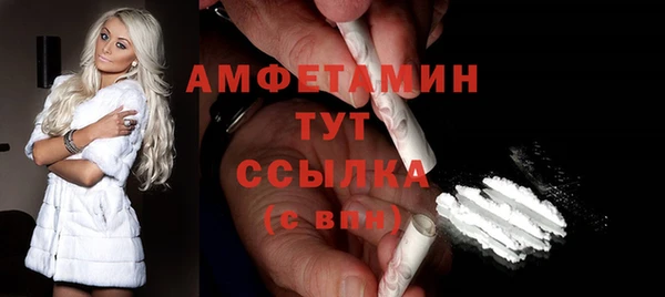 прущие грибы Волосово