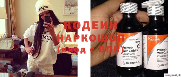 прущие грибы Волосово